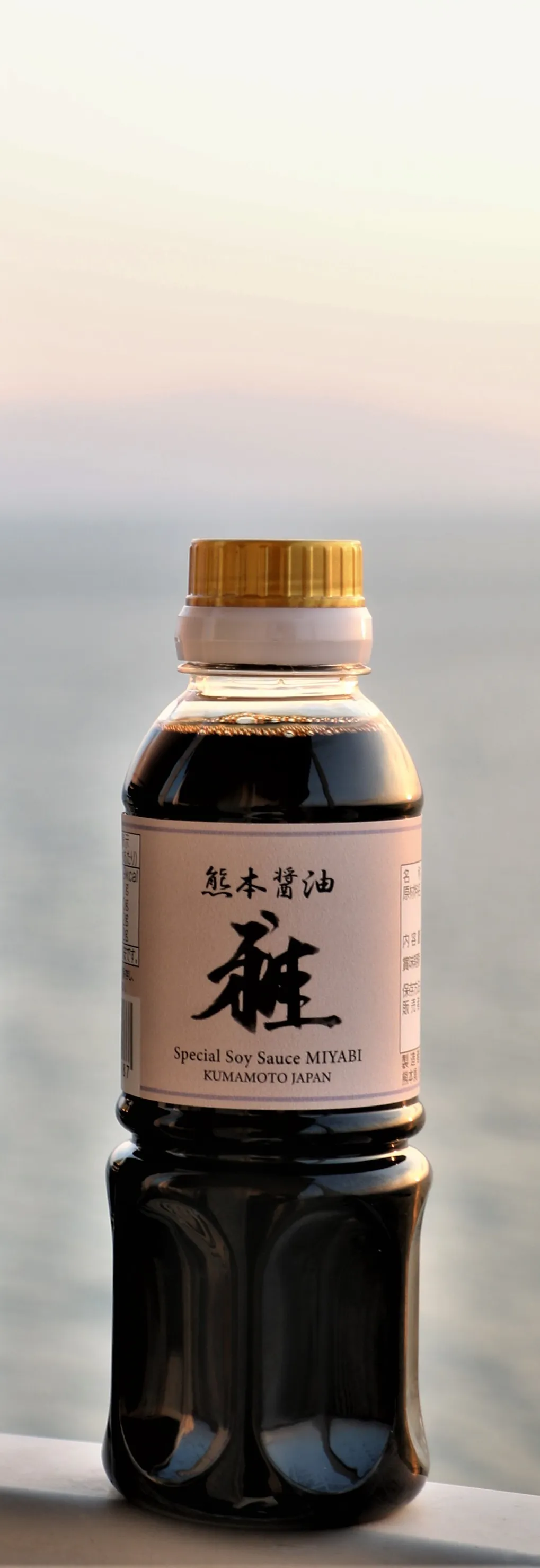 雅 MIYABI 300ml